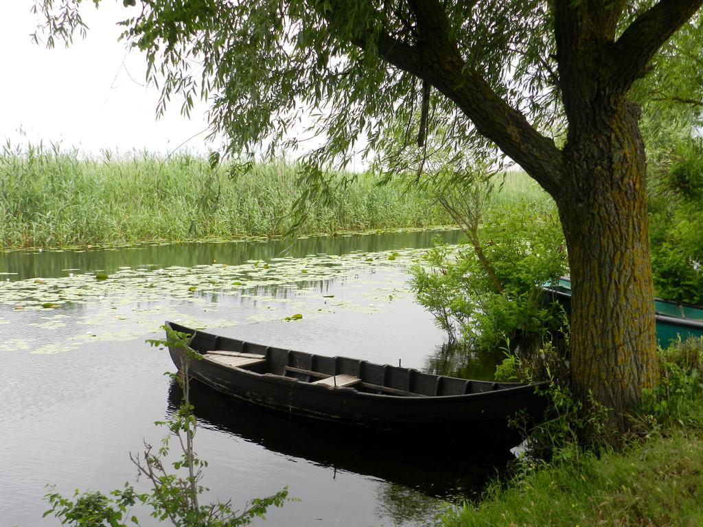 Doi Capitani Crisan (Tulcea) Bagian luar foto